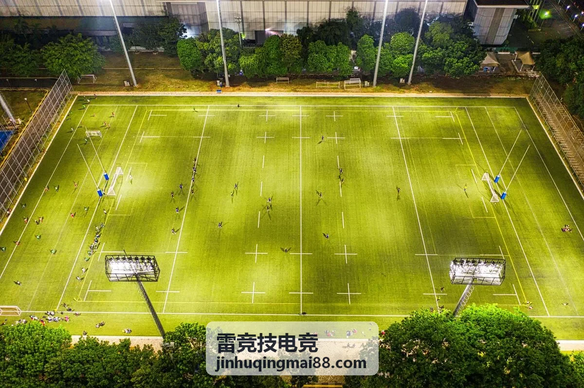 雷竞技电竞合作赛事案例
