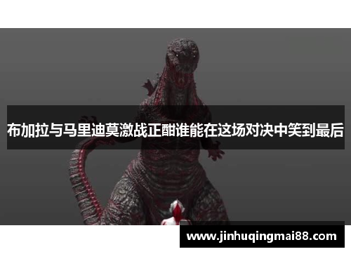 布加拉与马里迪莫激战正酣谁能在这场对决中笑到最后